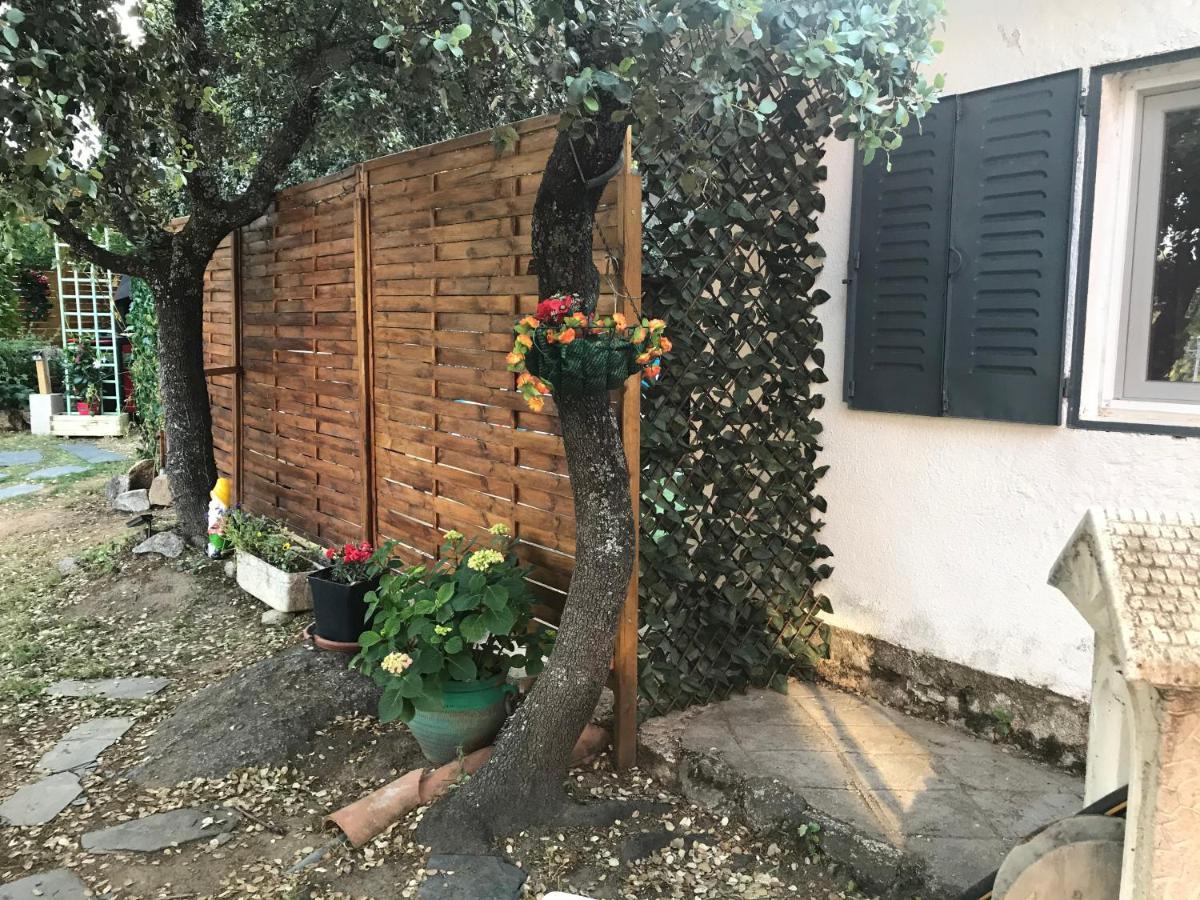 Cabana Jara Y Enebro Collado Villalba Luaran gambar